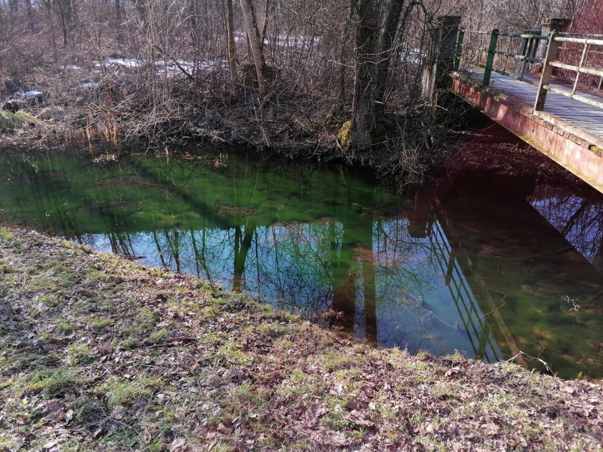 Ferienwohnung Resi mit traumhaftem Seepanorama Steindorf am Ossiacher See Bagian luar foto