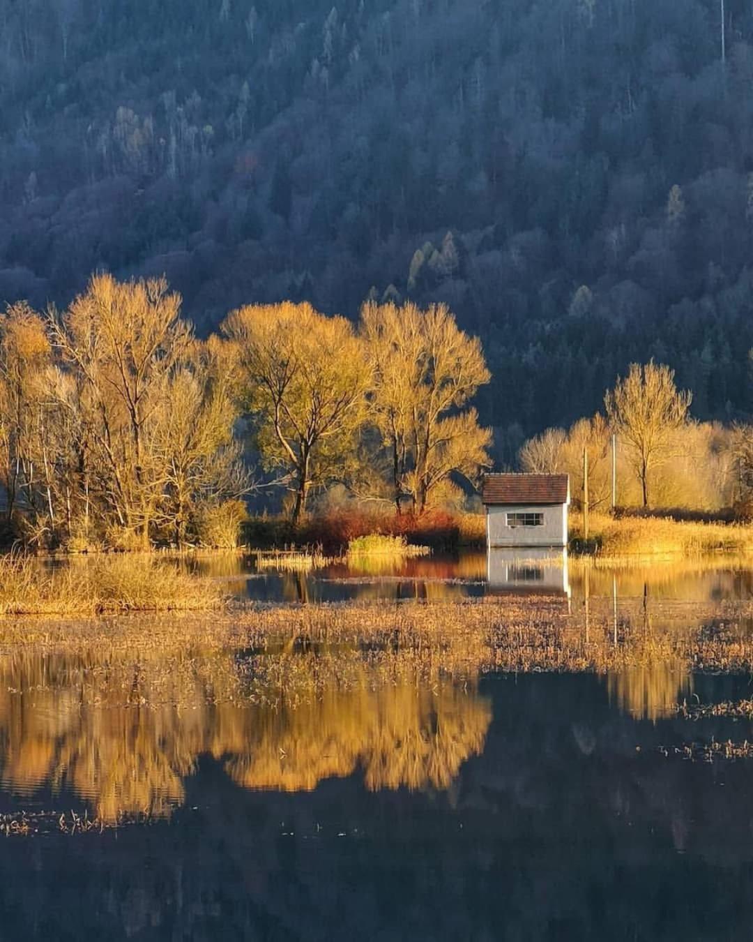 Ferienwohnung Resi mit traumhaftem Seepanorama Steindorf am Ossiacher See Bagian luar foto