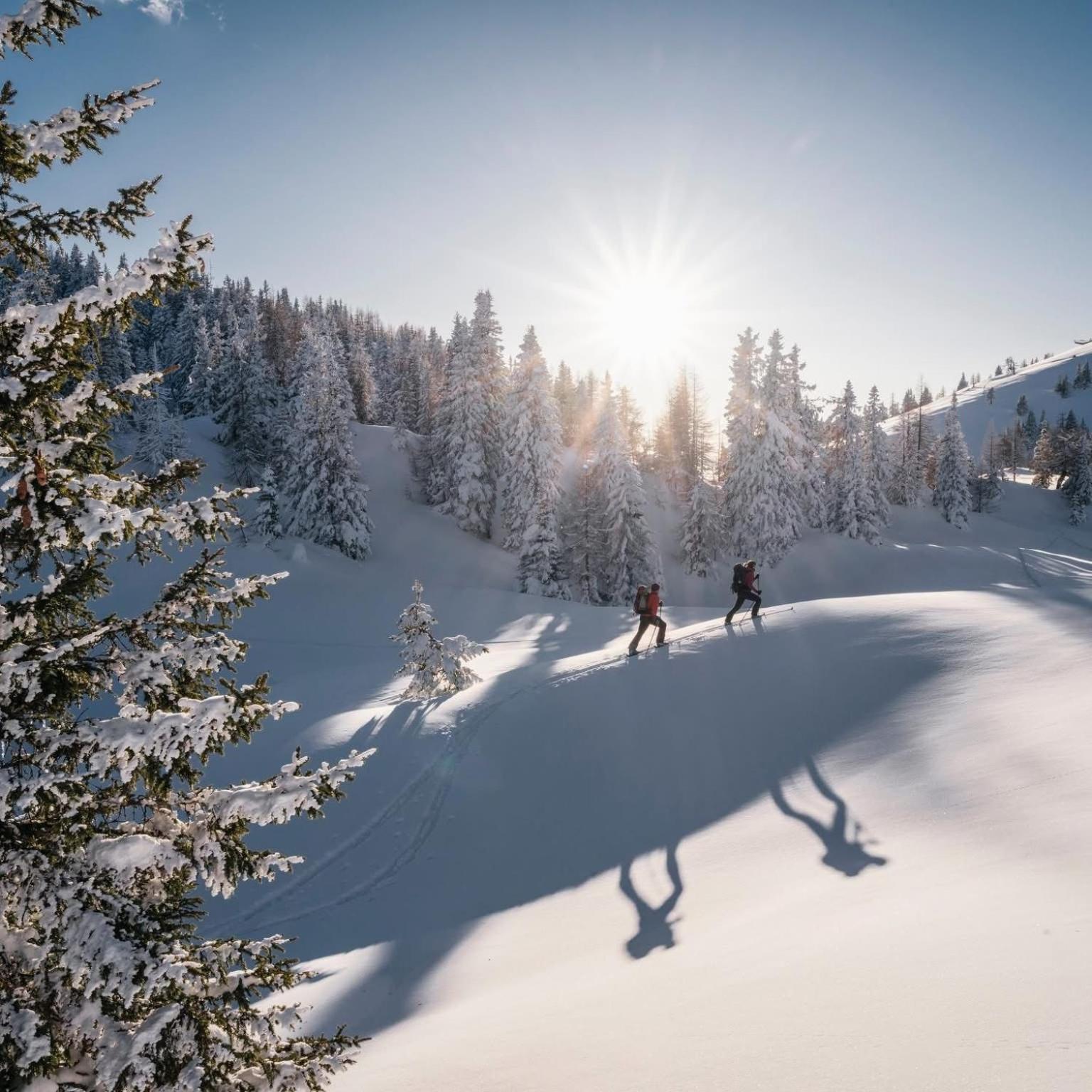Ferienwohnung Resi mit traumhaftem Seepanorama Steindorf am Ossiacher See Bagian luar foto