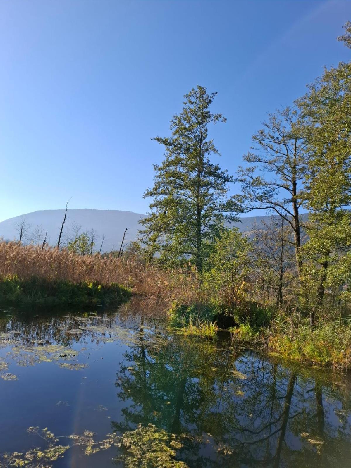 Ferienwohnung Resi mit traumhaftem Seepanorama Steindorf am Ossiacher See Bagian luar foto
