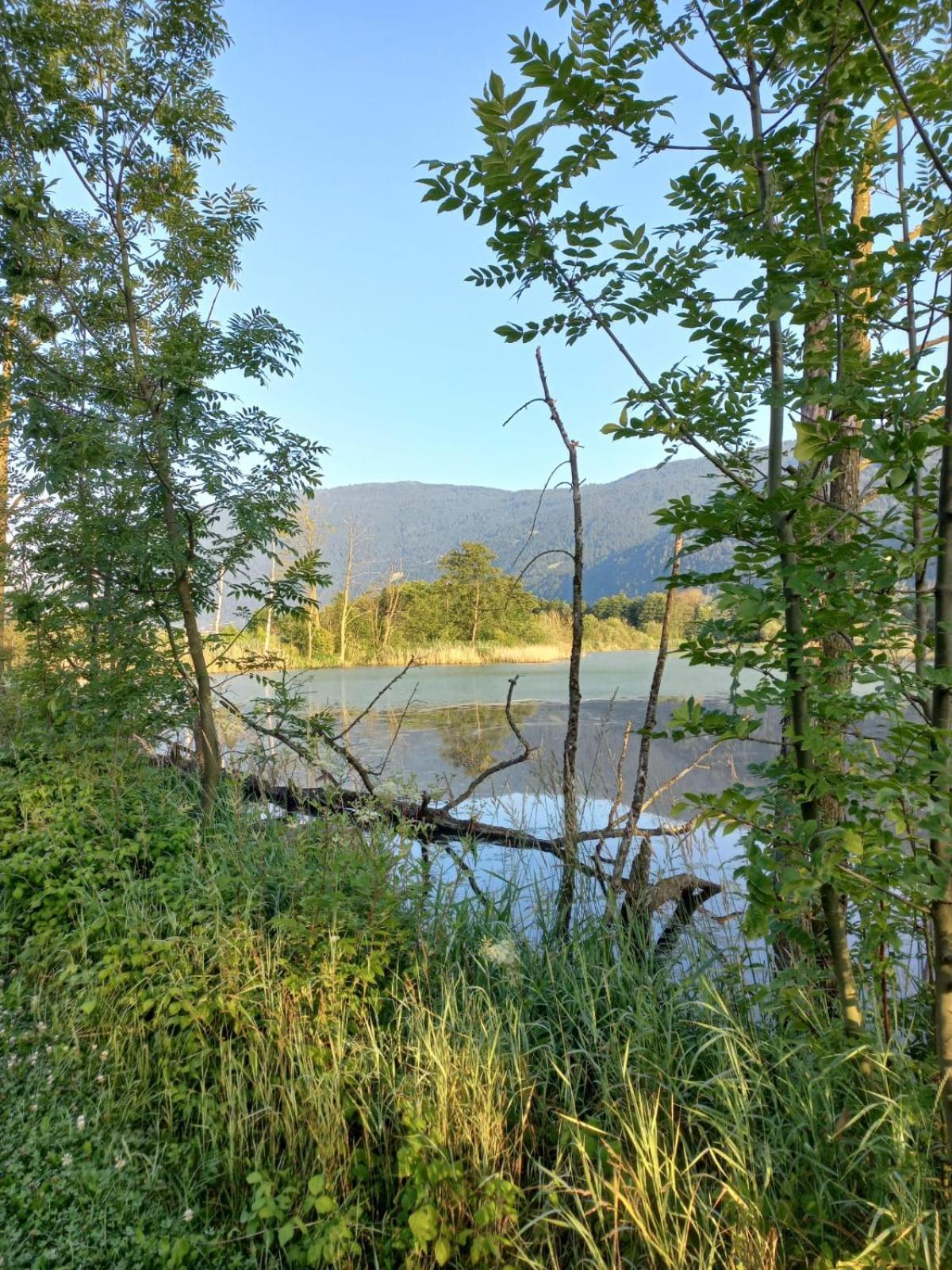 Ferienwohnung Resi mit traumhaftem Seepanorama Steindorf am Ossiacher See Bagian luar foto