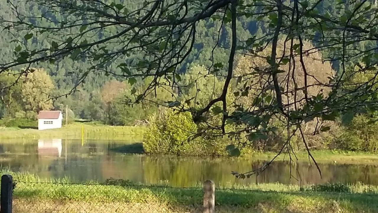 Ferienwohnung Resi mit traumhaftem Seepanorama Steindorf am Ossiacher See Bagian luar foto