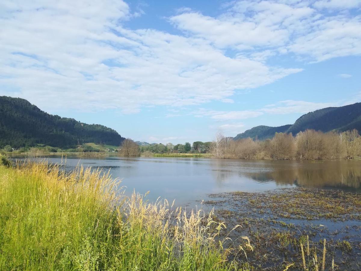 Ferienwohnung Resi mit traumhaftem Seepanorama Steindorf am Ossiacher See Bagian luar foto