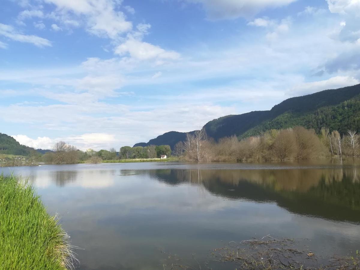 Ferienwohnung Resi mit traumhaftem Seepanorama Steindorf am Ossiacher See Bagian luar foto