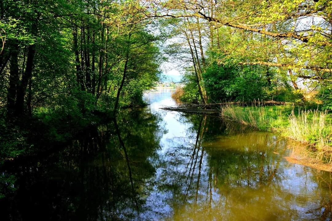 Ferienwohnung Resi mit traumhaftem Seepanorama Steindorf am Ossiacher See Bagian luar foto